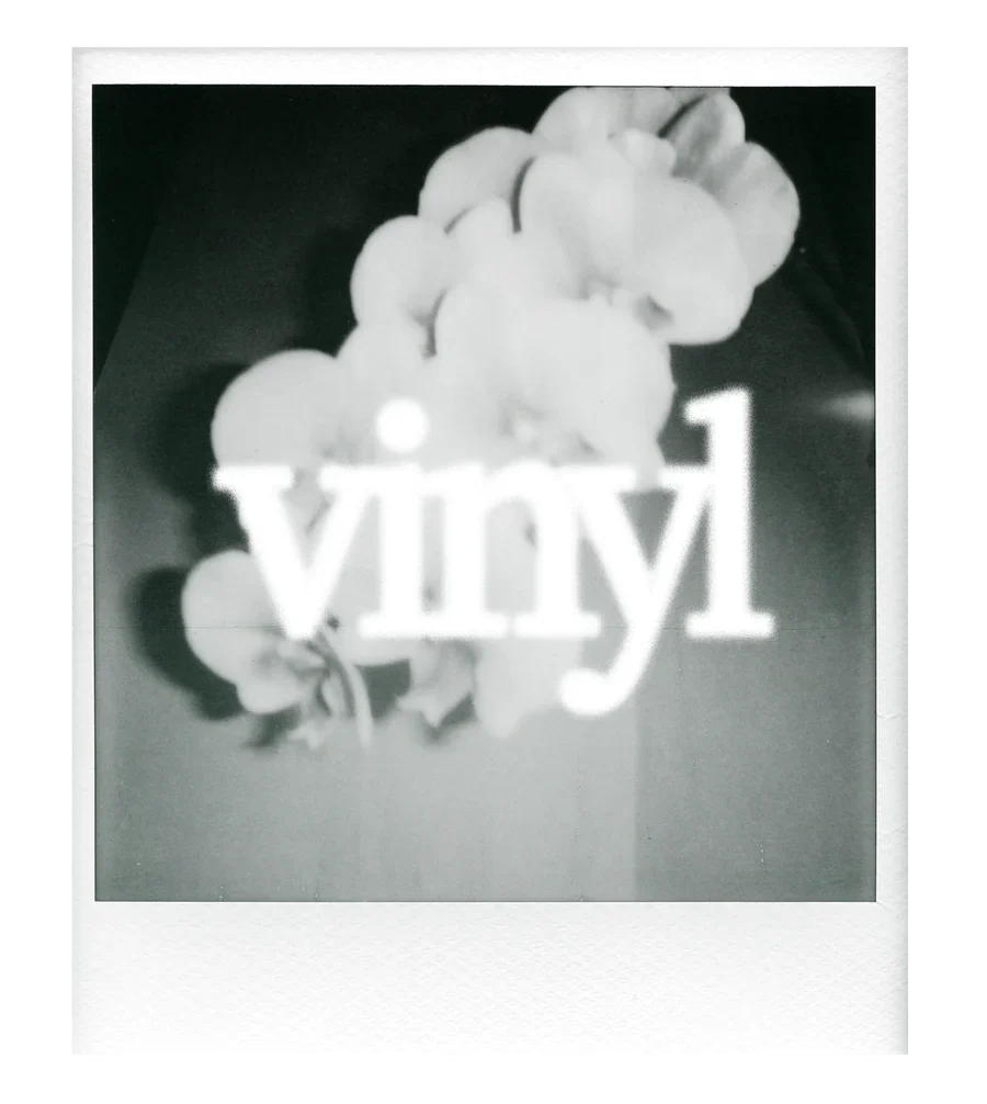 vinyl