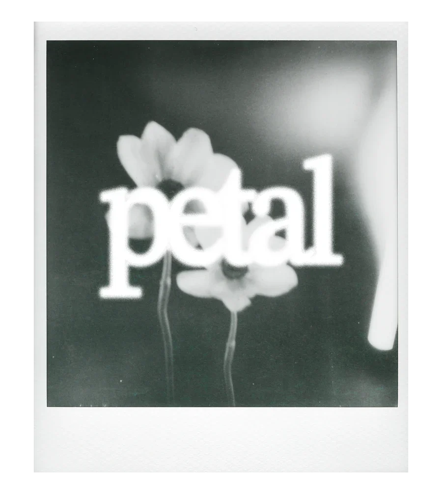 petal